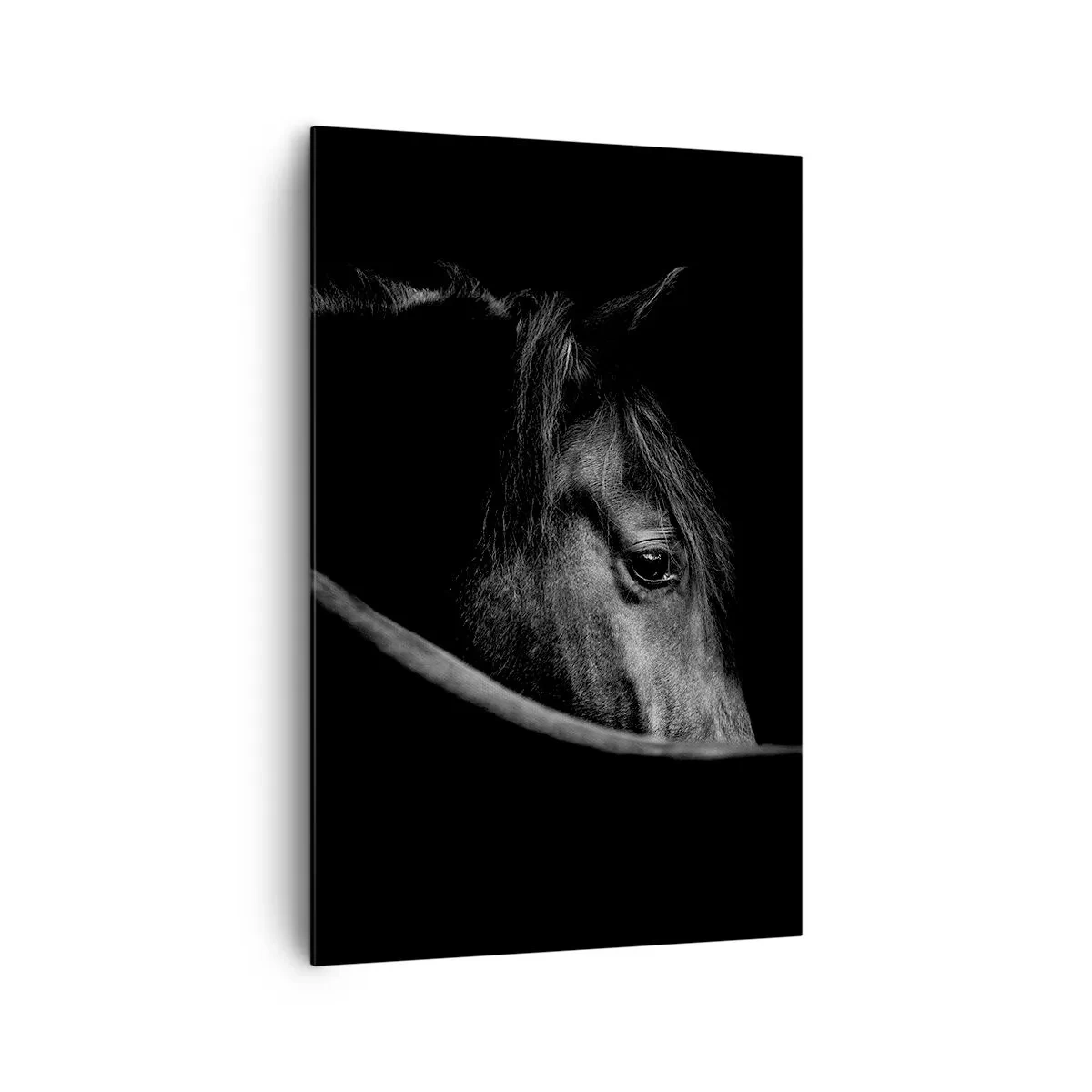 Schilderen op canvas - Zwarte Prins - 80x120 cm