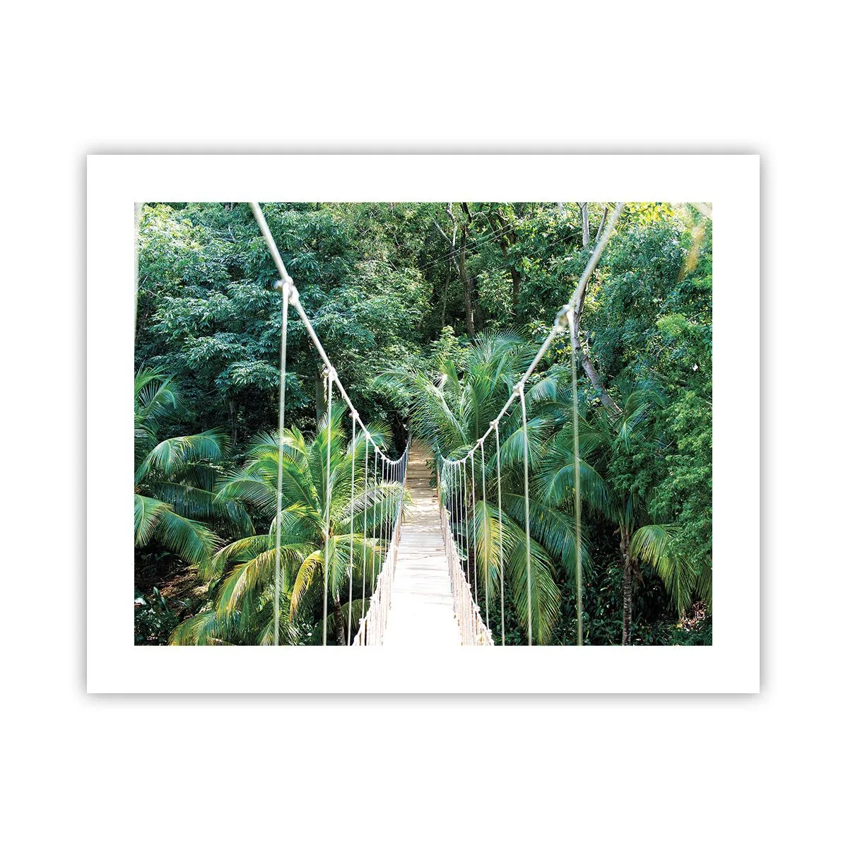 Poster - Welkom in de jungle! - 50x40 cm