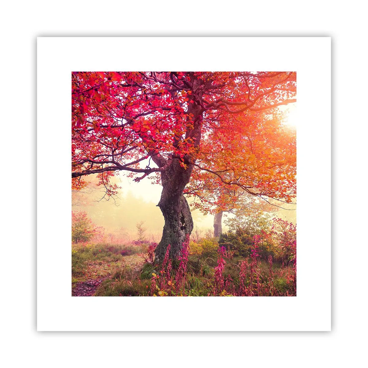 Poster - Bloeiende razernij - 30x30 cm