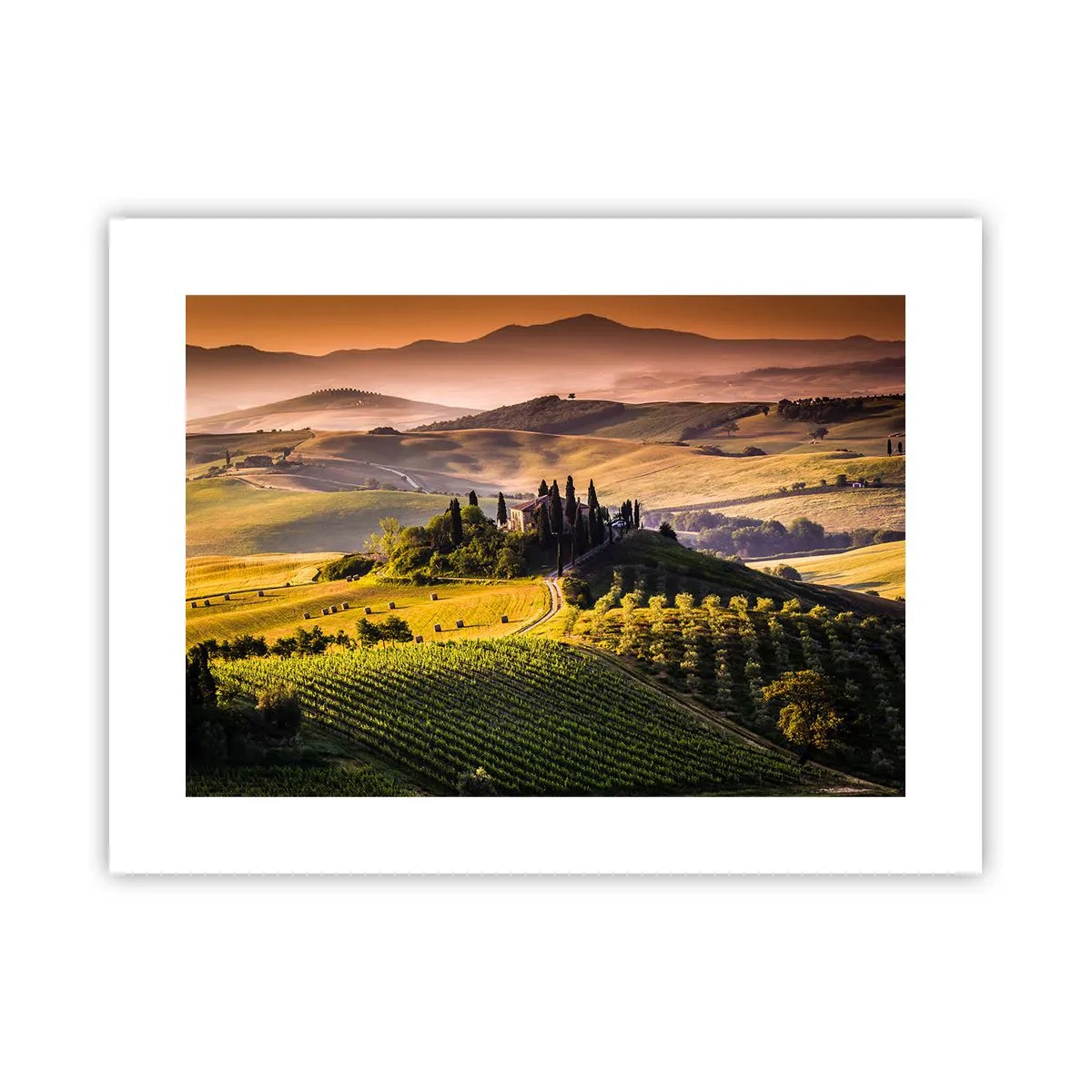 Poster - Arcadia - het Toscaanse landschap - 40x30 cm
