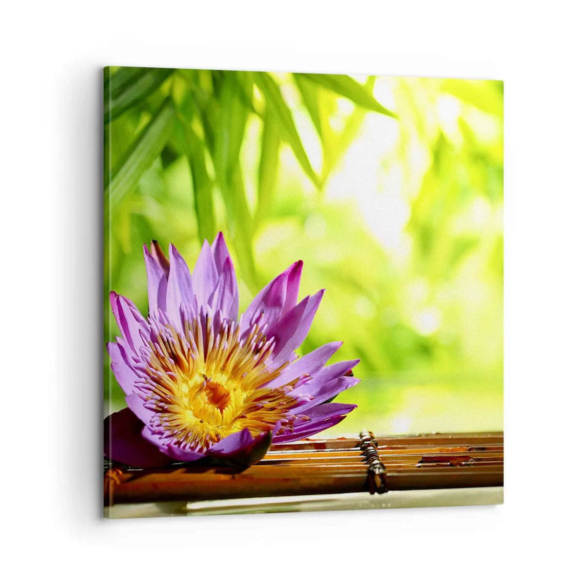 Schilderen op canvas - In de Aziatische zon - 60x60 cm