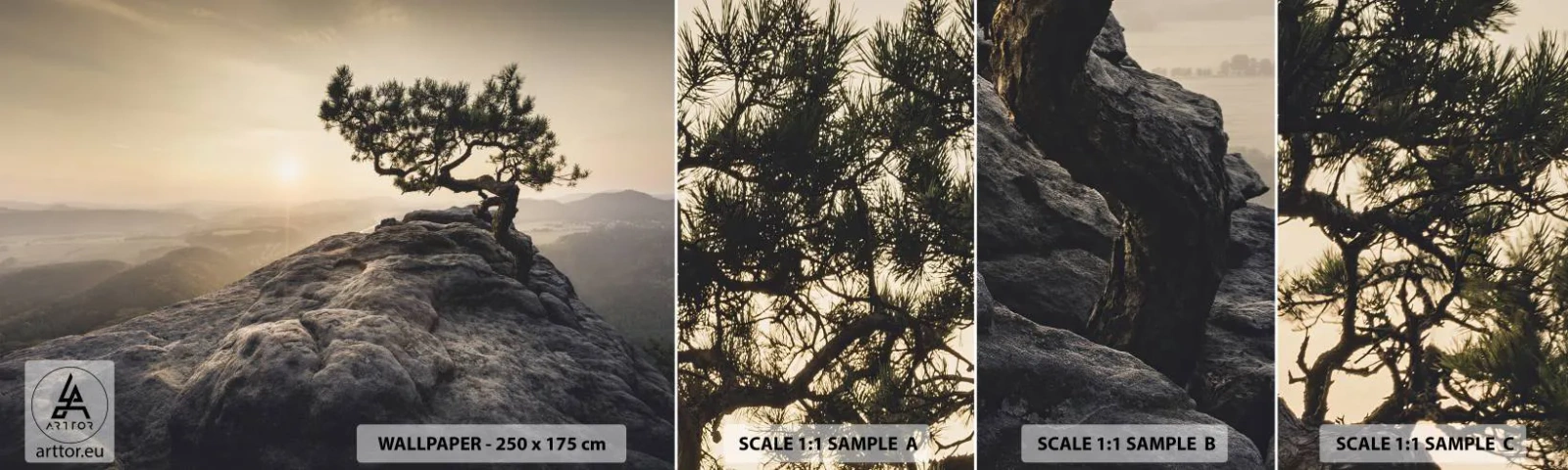 Fotobehang Monster Zelfklevend Deluxe Sticker - Het leven wint altijd - Berglandschap, Pijnboom, Bergen - 100x30 cm