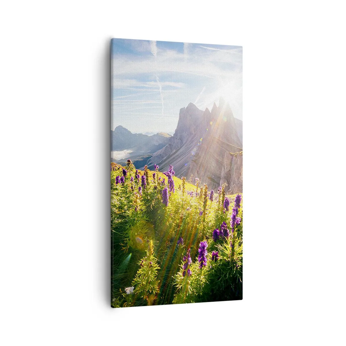 Schilderen op canvas - Het geheime leven van kruiden - 55x100 cm