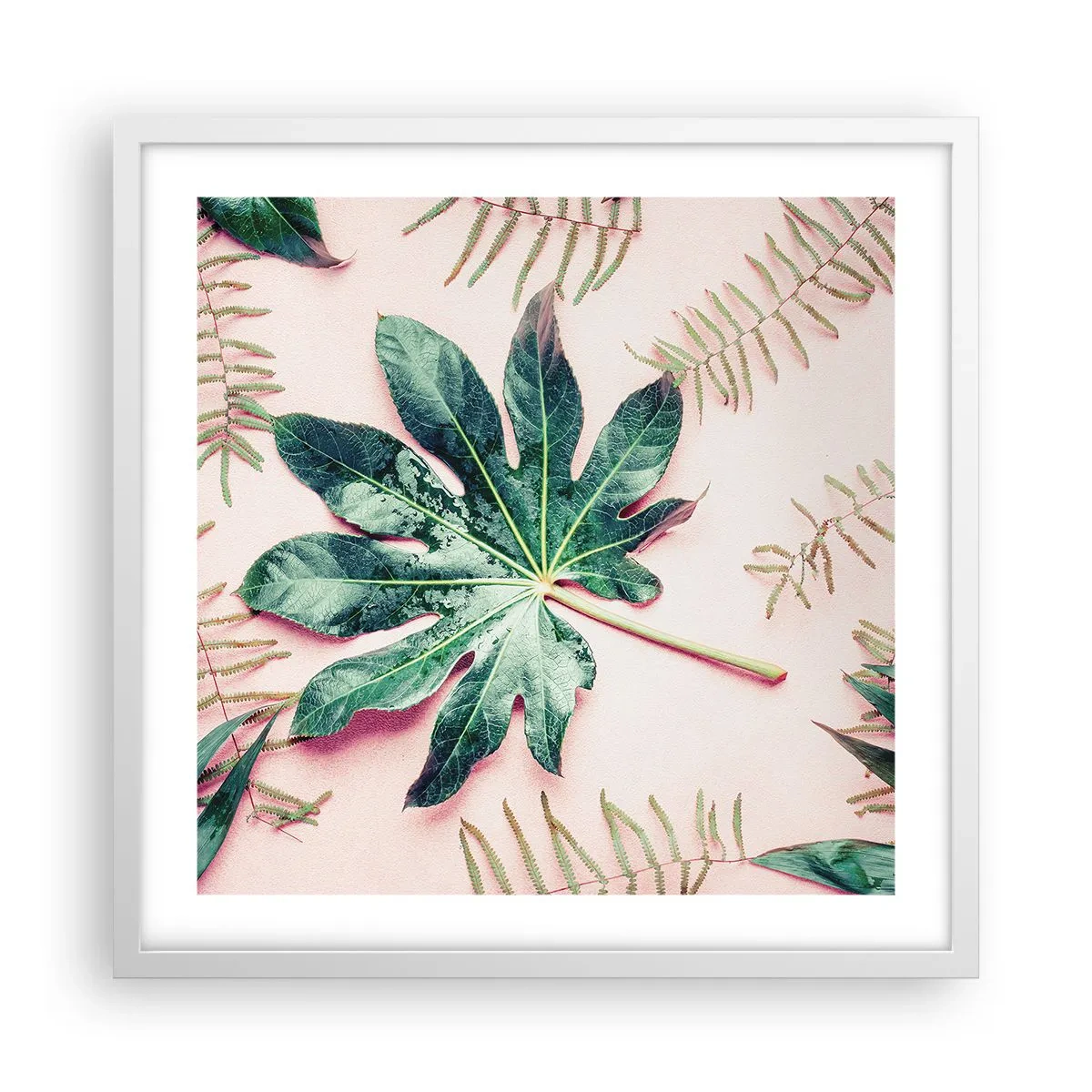 Poster in een witte lijst - Een studie van groen op een roze achtergrond - 50x50 cm