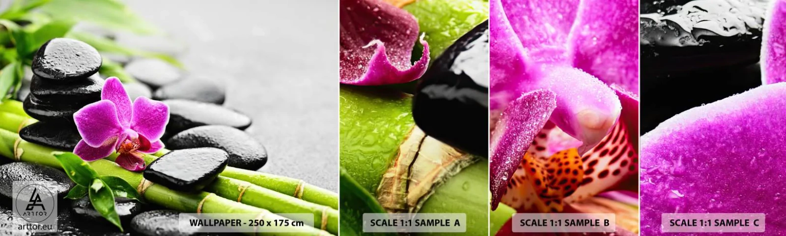 Fotobehang Monster Zelfklevend Deluxe Sticker - In een vrede evenwicht - Bloemen, Orchidee, Orchidee - 100x30 cm