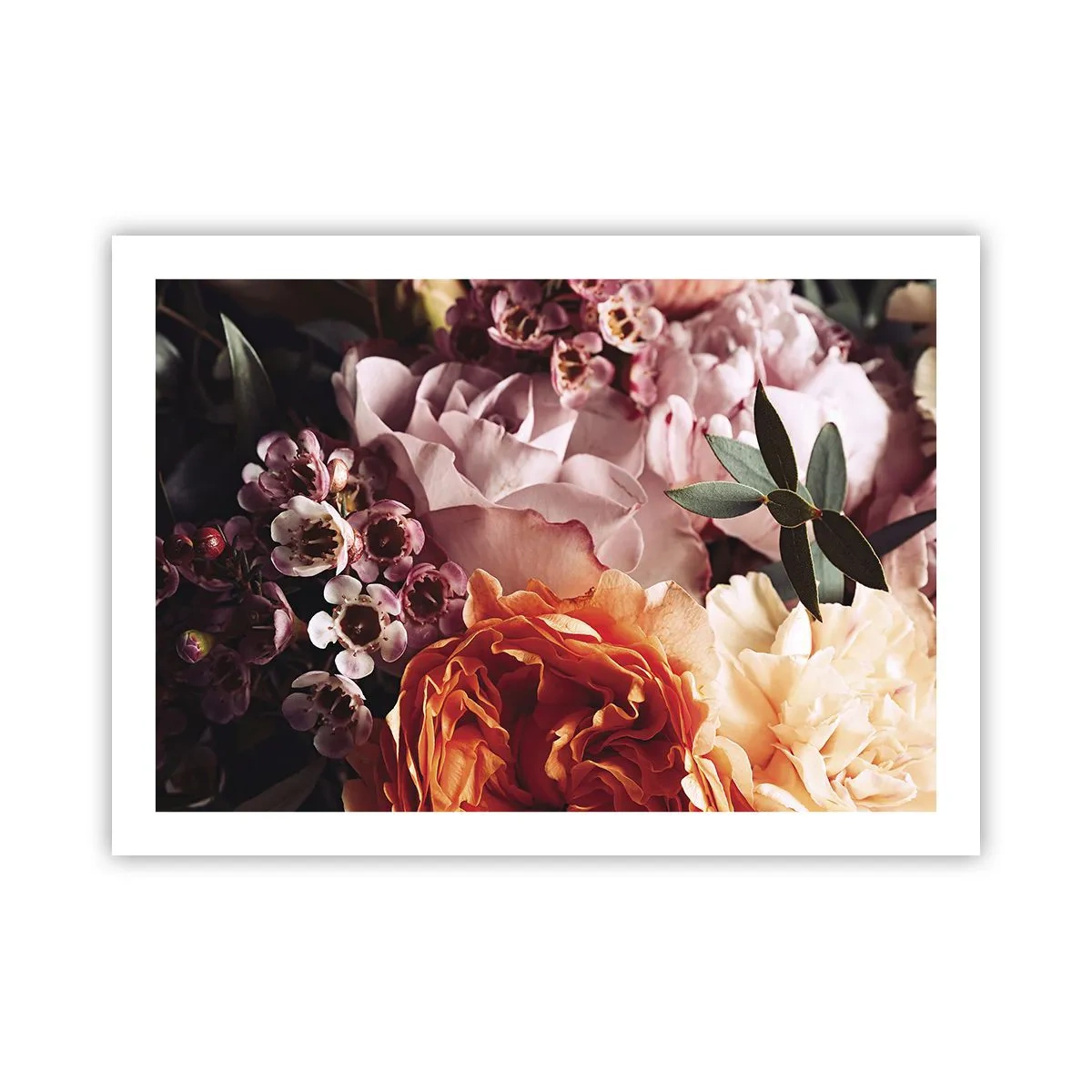 Poster - Gehuld in schoonheid - 70x50 cm
