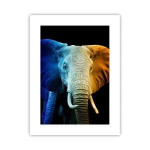 Poster - Excentriek, niet raar - 30x40 cm