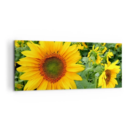 Schilderen op canvas - Honderden zonnen vlamden op - 100x40 cm