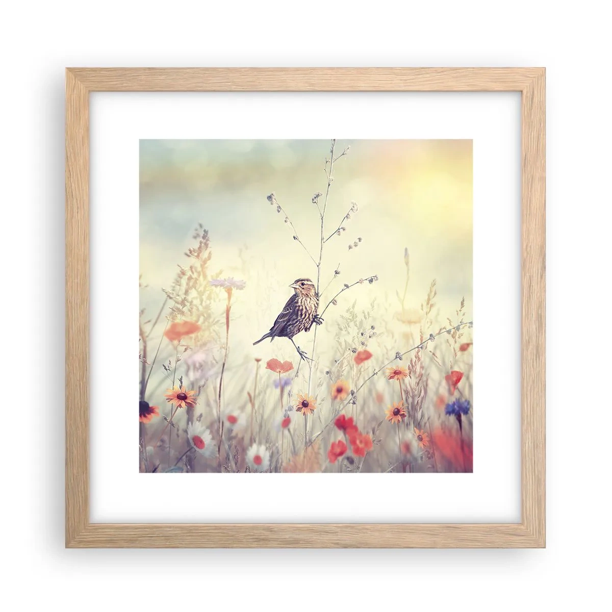 Een poster in een licht eiken lijst - Vogelportret met een weiland op de achtergrond - 30x30 cm