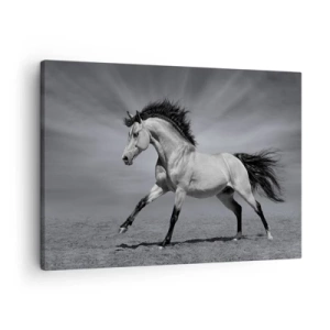 Schilderen op canvas - Een zwart-wit paard in een dynamische houding in de woestijn. - 70x50cm - Geboren om te genieten - Moderne wanddecoratie voor woonkamer en slaapkamer ARTTOR