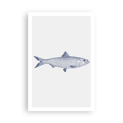 Poster - Groeten uit de noordelijke zeeën - 61x91 cm