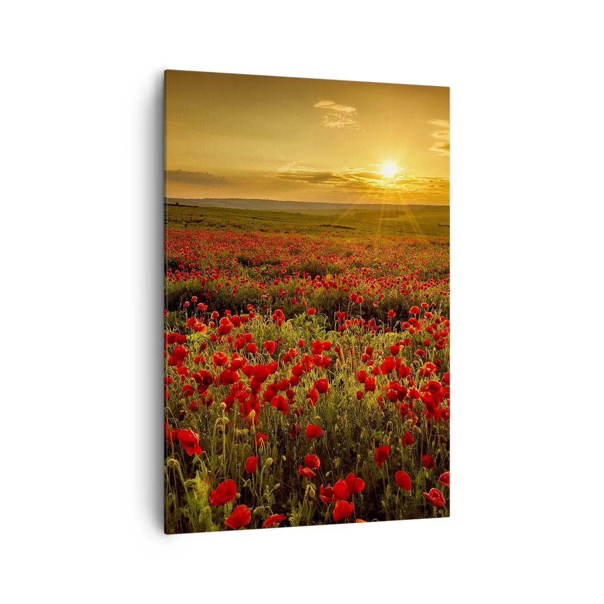 Schilderen op canvas - Tussen de golven van ruisende weiden, tussen de bloemen van de vloed - 70x100 cm