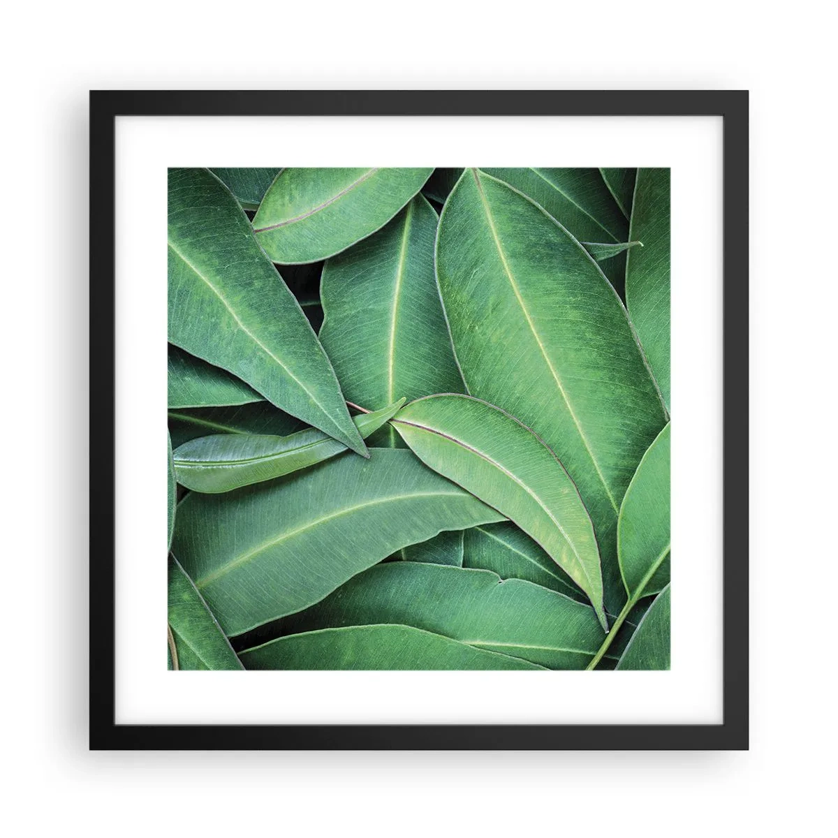 Poster in een zwarte lijst - Sappig en fris - 40x40 cm