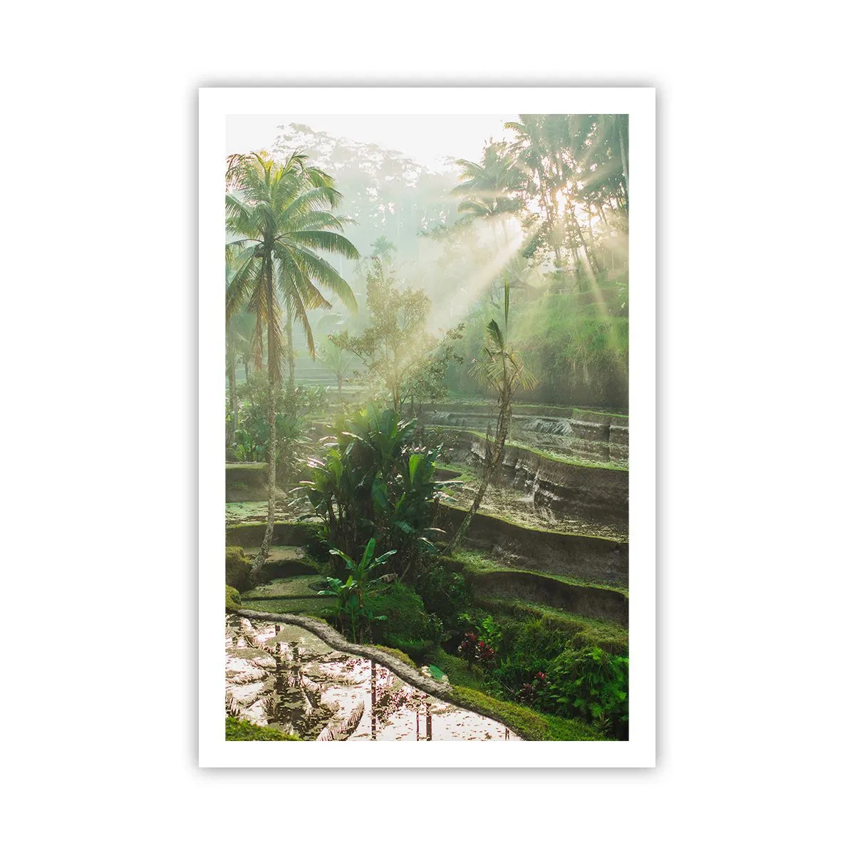 Poster - Opgroeien in de zon - 61x91 cm