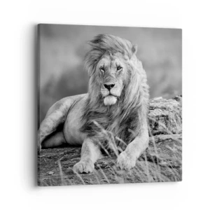 Schilderen op canvas - Koninklijke siësta - 40x40 cm