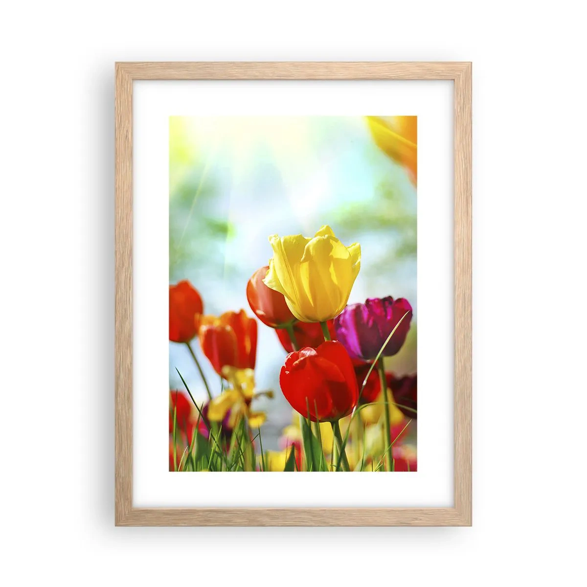Een poster in een licht eiken lijst - Alle kleuren van de zon - 30x40 cm