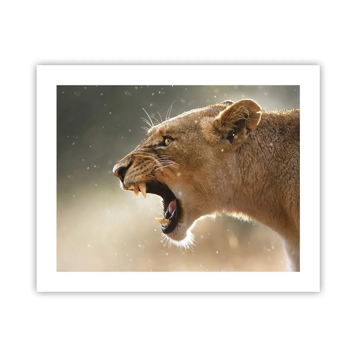 Poster - Probeer niet te luisteren - 50x40 cm