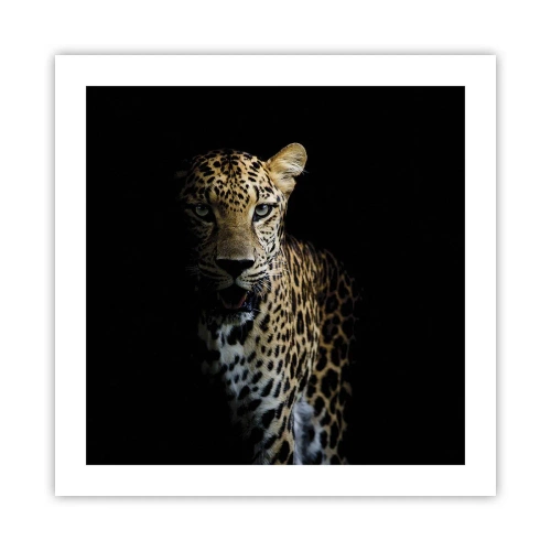 Poster - Donkere schoonheid - 50x50 cm