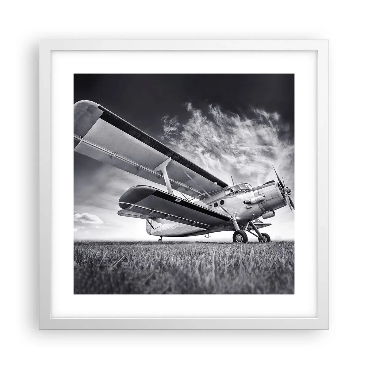 Poster in een witte lijst - De gevleugelde zwerver - 40x40 cm