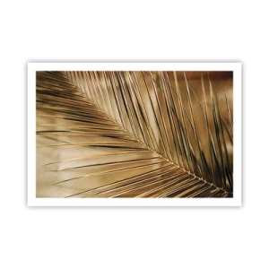 Poster - Natuurlijke zuilengalerij - 91x61 cm