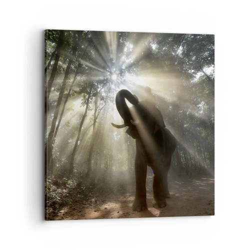 Schilderen op canvas - Onder de gelukkige ster - 70x70 cm