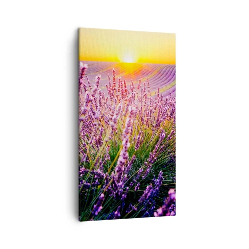 Schilderen op canvas - Geurige korenvelden - 45x80 cm