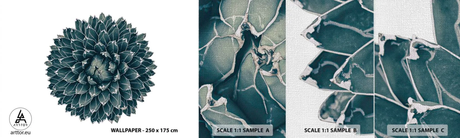 Fotobehang Monster Premium Canvas - De ster van de woestijn - Cactus, Agave, Grafisch - 100x30 cm