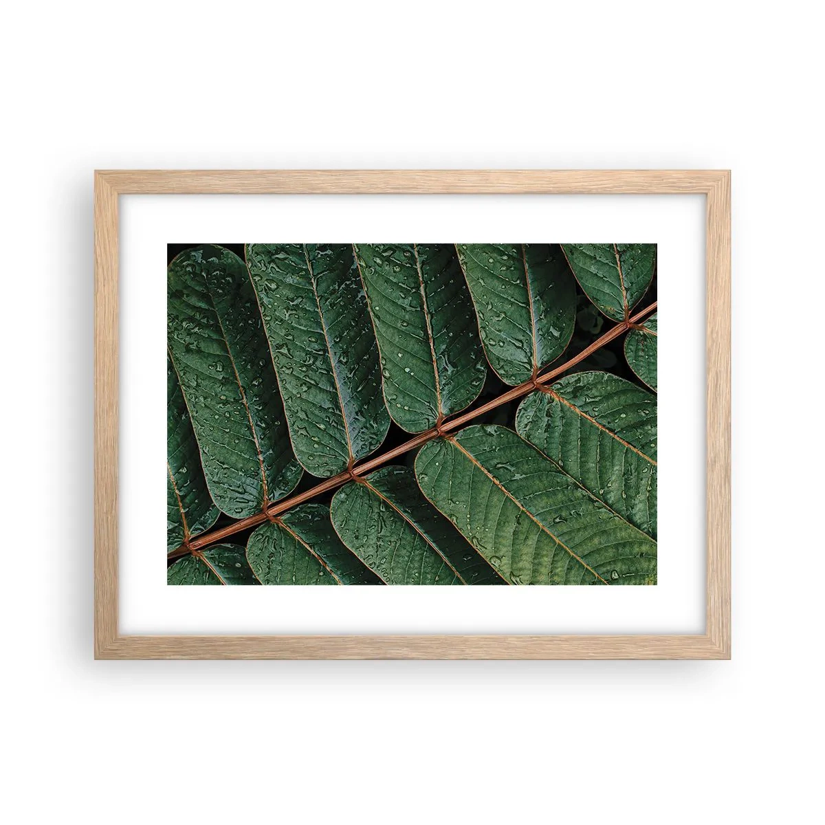 Een poster in een licht eiken lijst - In een groen ritme - 40x30 cm