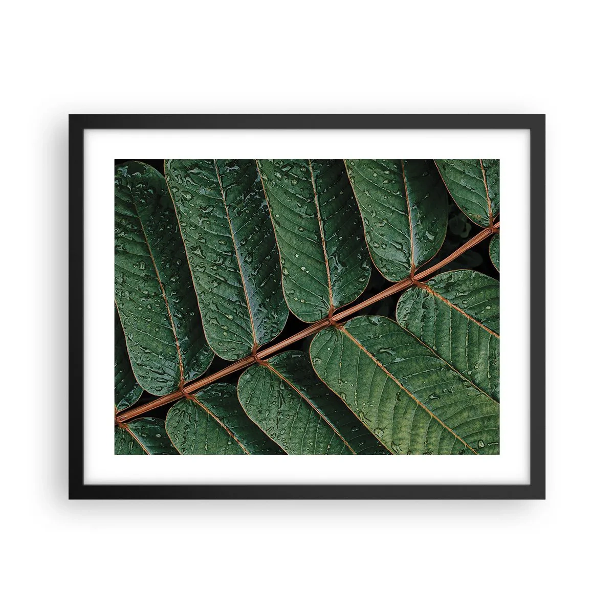 Poster in een zwarte lijst - In een groen ritme - 50x40 cm