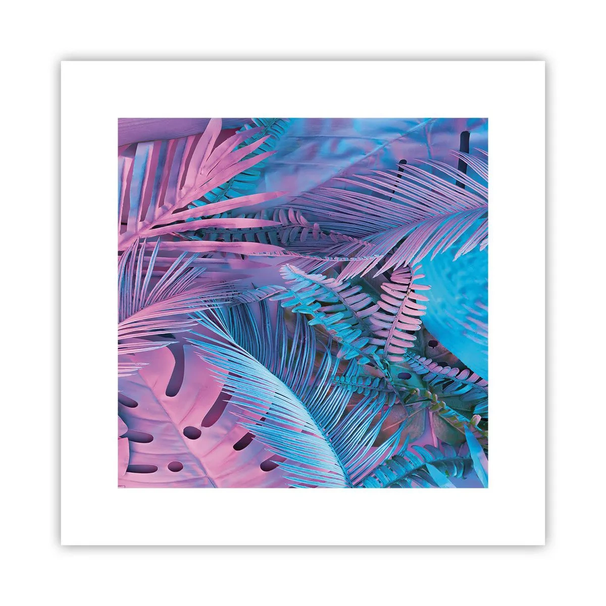 Poster - Tropen in roze en blauw - 30x30 cm