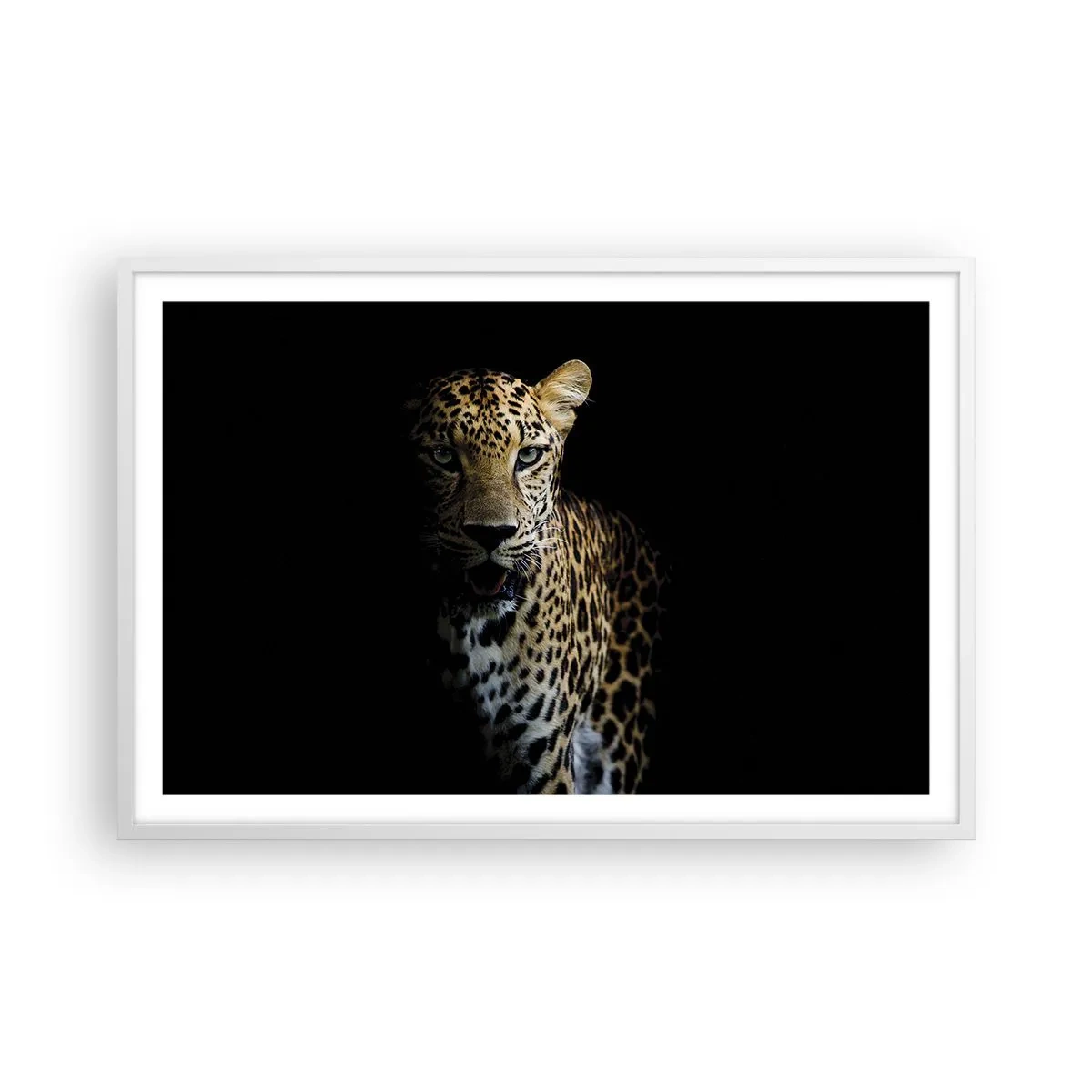 Poster in een witte lijst - Donkere schoonheid - 91x61 cm