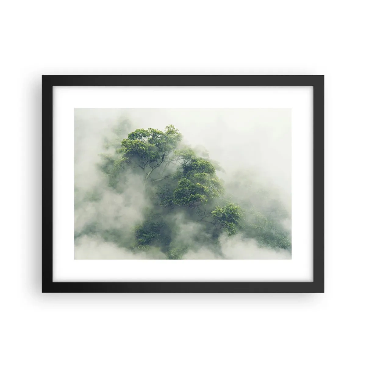 Poster in een zwarte lijst - In mist gehuld - 40x30 cm