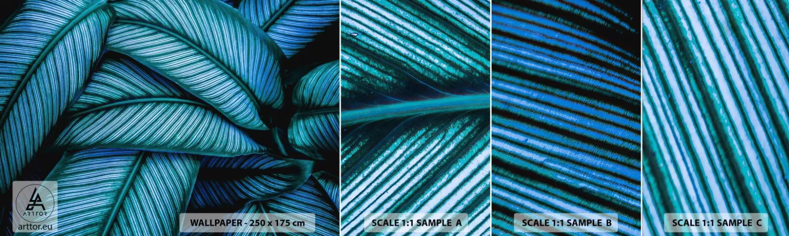 Fotobehang Staaltje Standard Eco - Levens lijnen - Bladeren, Plantkunde, Planten - 100x30 cm