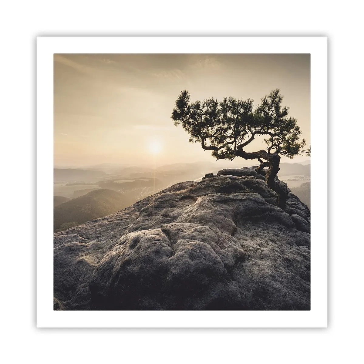 Poster - Het leven wint altijd - 60x60 cm