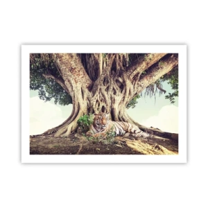 Poster - Uitzicht vanuit het boek Genesis - 70x50 cm