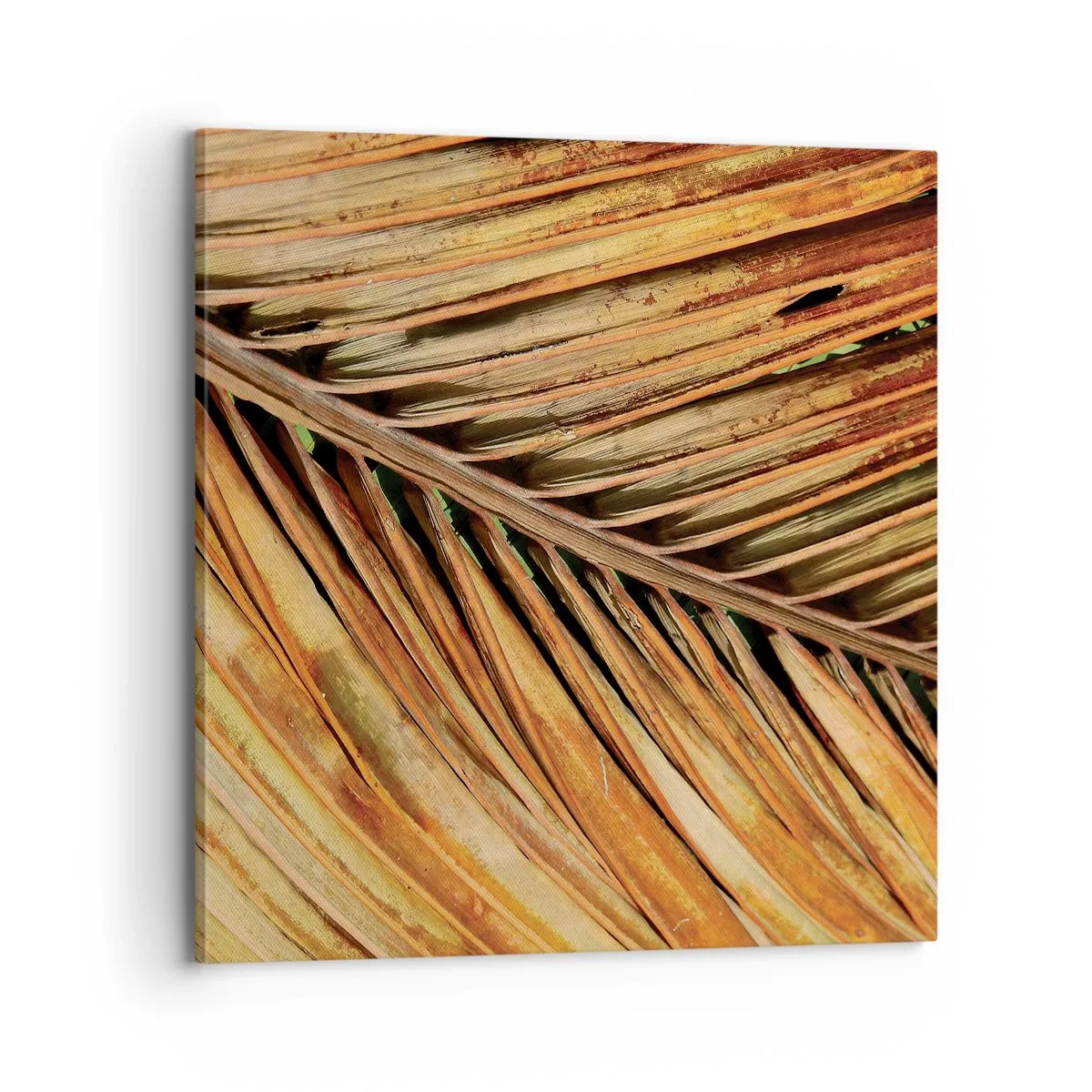 Schilderen op canvas - Kokos goud - 70x70 cm