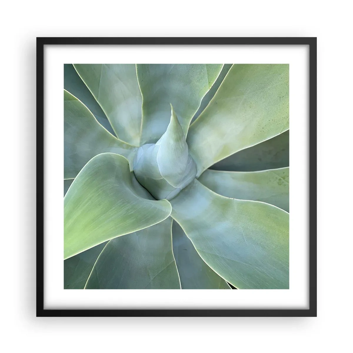 Poster in een zwarte lijst - De geboorte van groen - 50x50 cm