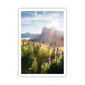 Poster - Het geheime leven van kruiden - 70x100 cm