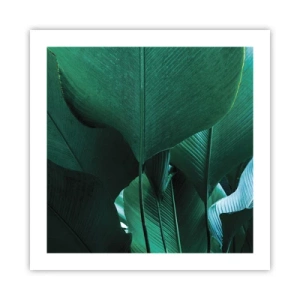 Poster - Naar het licht gekeerd - 50x50 cm