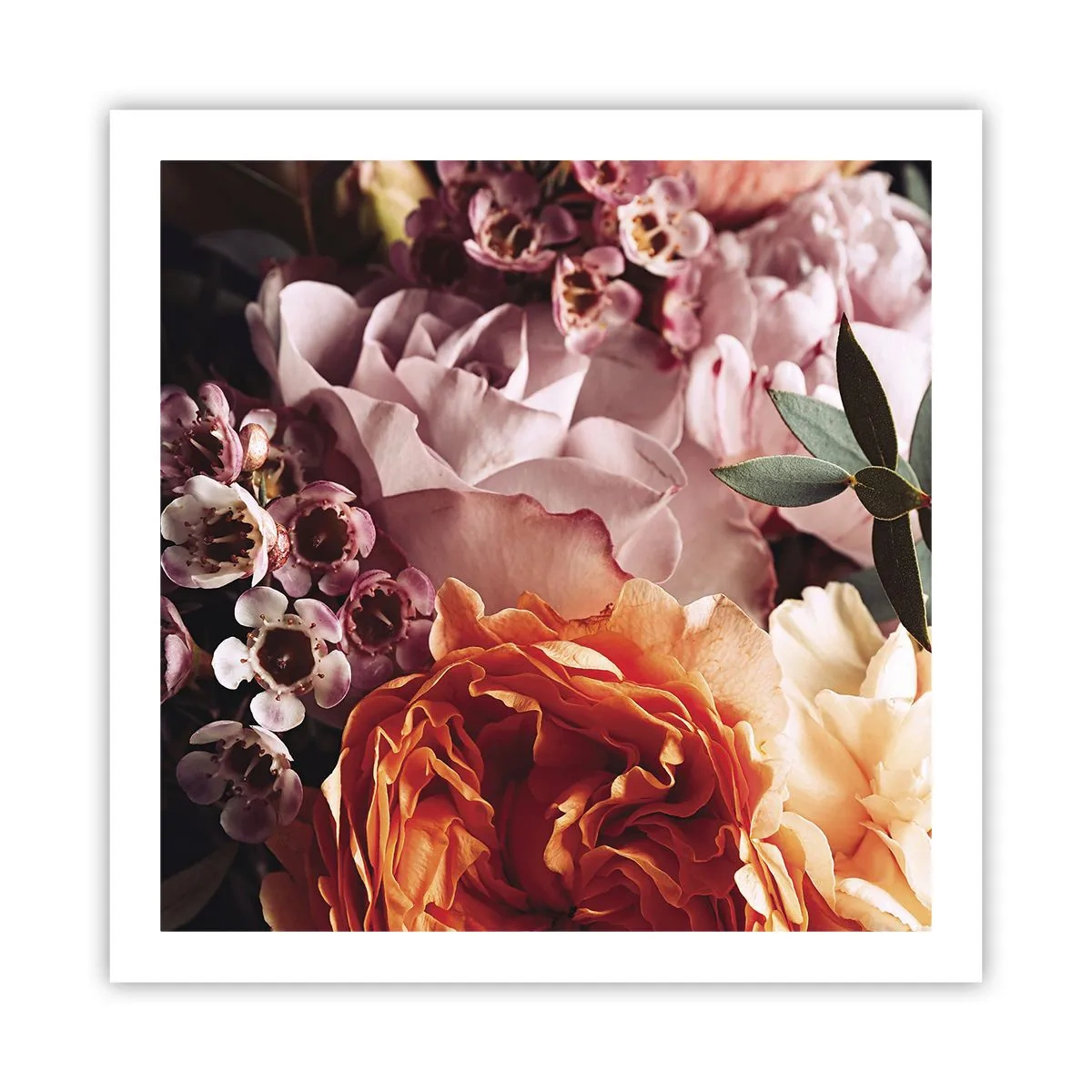 Poster - Gehuld in schoonheid - 60x60 cm