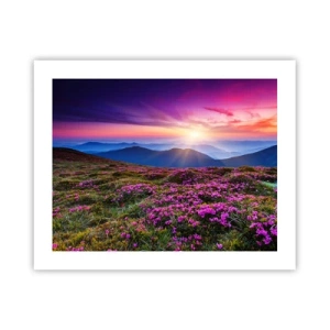 Poster - Kruiden roken naar verse trossen van de velden - 50x40 cm