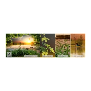 Fotobehang Monster Premium Sand - Landschap in een groen kader - Landschap, Meer, Houten brug - 100x30 cm