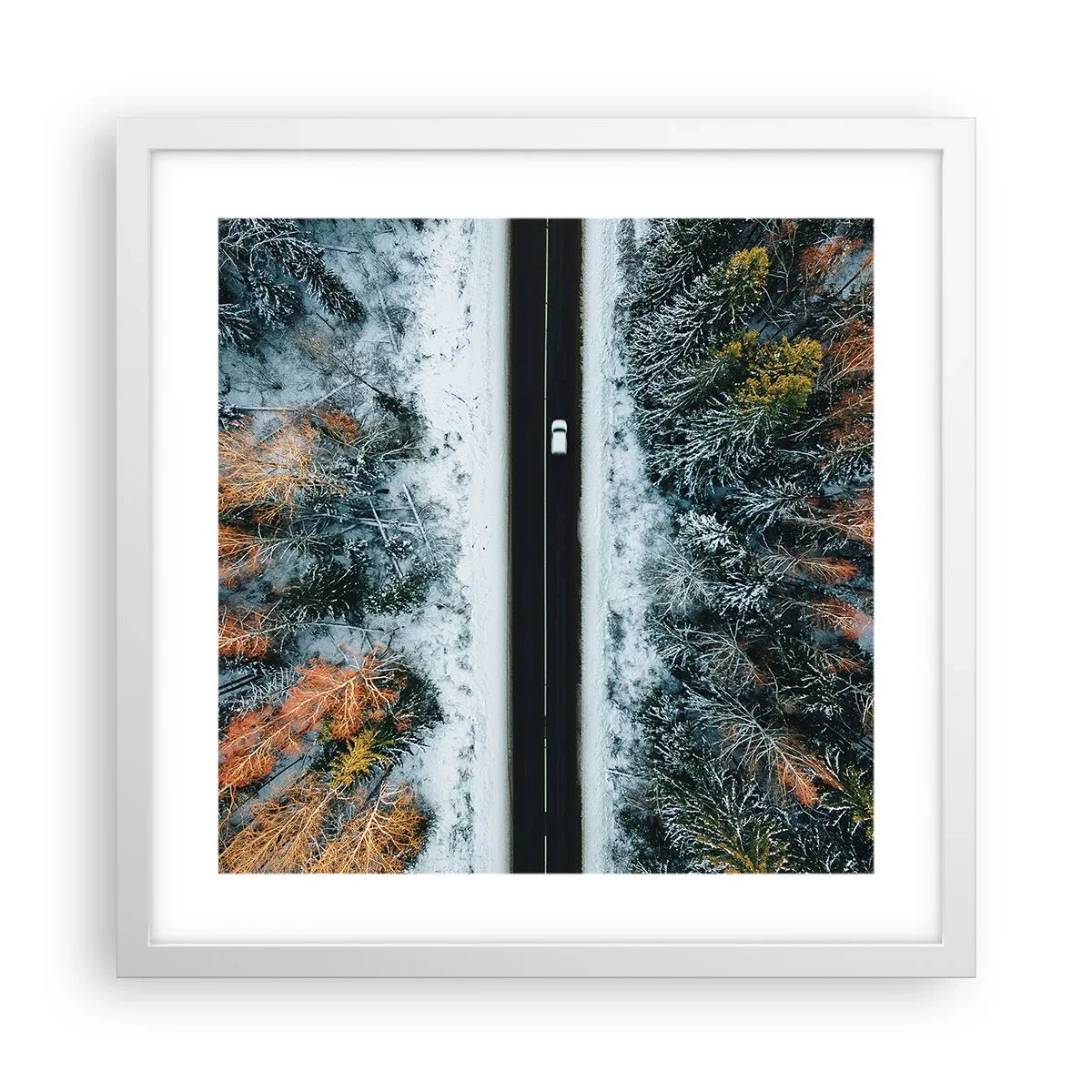 Poster in een witte lijst - Snijd door het winterbos - 40x40 cm