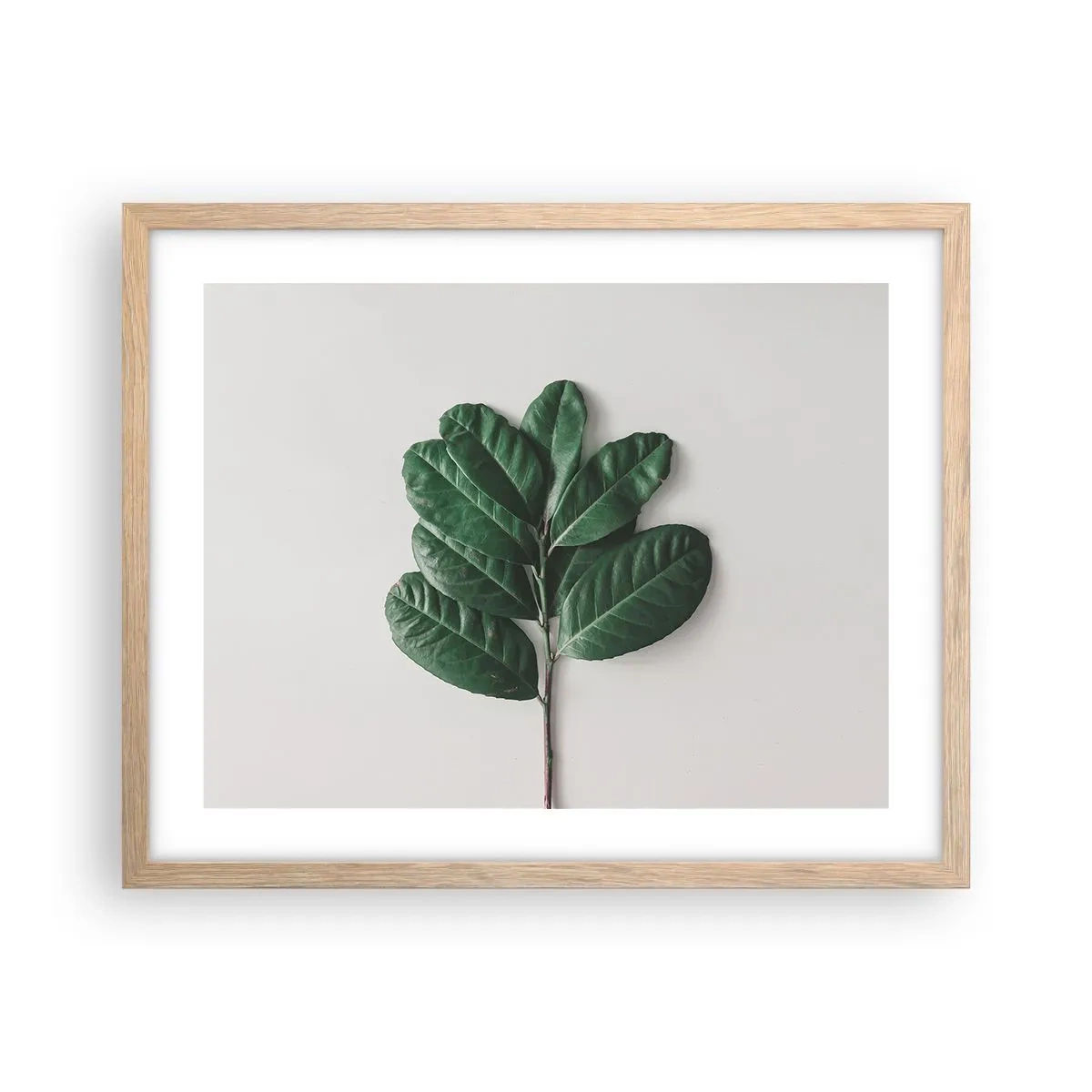 Een poster in een licht eiken lijst - Een tekening van de pure natuur - 50x40 cm