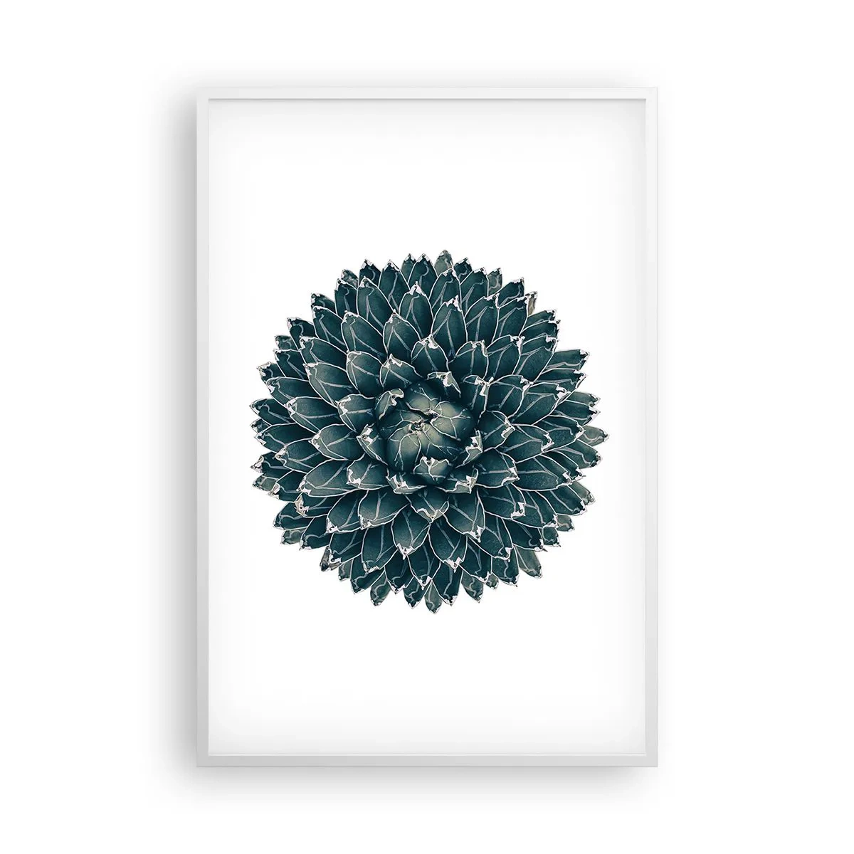 Poster in een witte lijst - De ster van de woestijn - 61x91 cm