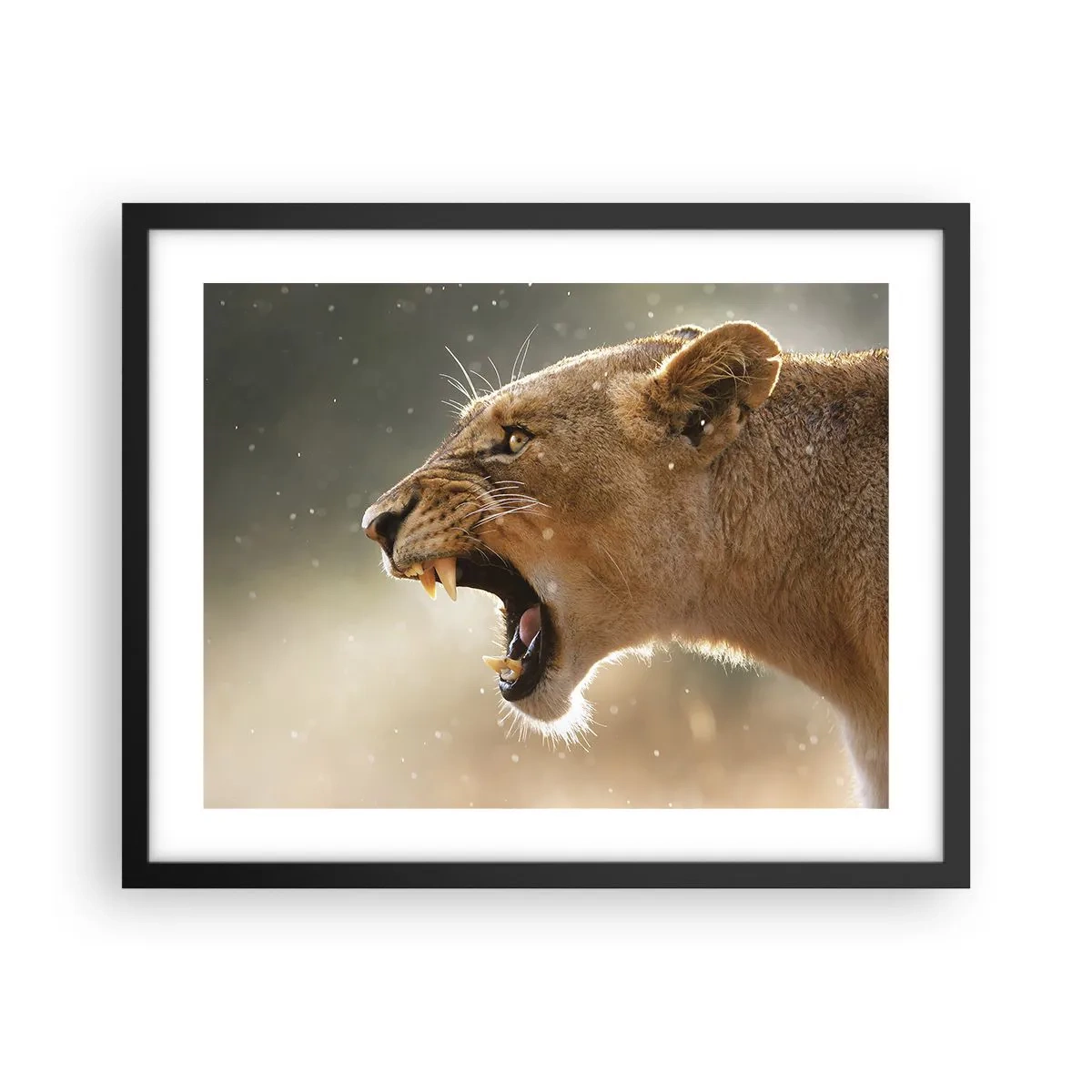 Poster in een zwarte lijst - Probeer niet te luisteren - 50x40 cm