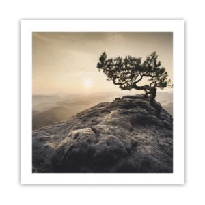 Poster - Het leven wint altijd - 50x50 cm