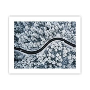 Poster - Door het winterbos - 50x40 cm