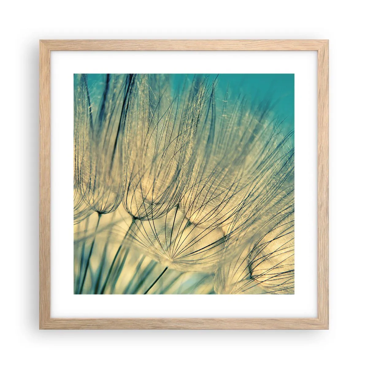 Een poster in een licht eiken lijst - In afwachting van de wind - 40x40 cm