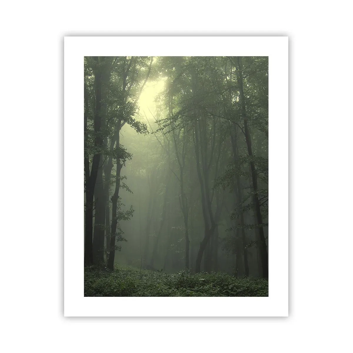 Poster - Voordat hij wakker wordt - 40x50 cm